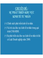 Chuyên đề   sự phát triển khu vực kinh tế tư nhân tư nhân