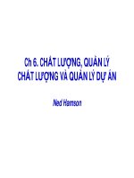 Bài giảng quản lý dự án ( TS phùng tấn việt )   chương 6 chất lượng, quản lý chất lượng và quản lý dự án