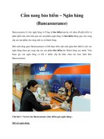 Cẩm nang bảo hiểm ngân hàng (bancassurance) 