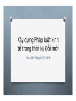 Bài giảng xây dựng pháp luật kinh tế trong thời kỳ đổi mới   nguyễn tử anh 