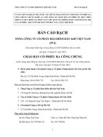 Bản cáo bạch tổng công ty cổ phần bảo hiểm dầu khí viêt nam (PVI)