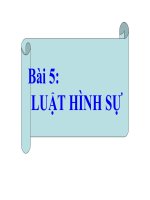 Bài giảng pháp luật đại cương   bài 5  luật hình sự