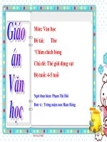 GIÁO án mầm NON CHỦ điểm THƠ CHIM CHÍCH BÔNG