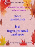 giáo án mầm non chủ đề kể chuyện cây tre trăm đốt 