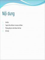 Sản xuất ethanol từ cellulose