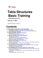 Hướng dẫn sử dụng phần mềm tekla   lesson 2  tạo liên kết hệ thống