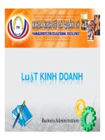 Bài giảng luật kinh doanh (cao thùy dương)   chương 1 tổng quan luật kinh doanh