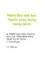 Nhiên liệu sinh học  nguồn năng lượng tương lai(tt) 