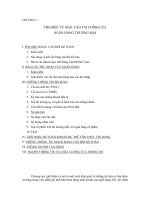 KIẾN THỨC về báo cáo tài CHÍNH