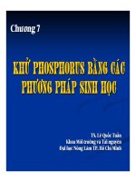 Bài giảng vi sinh vật môi trường (TS  lê quốc tuấn)   chương 7