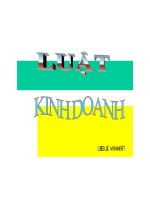 Luật kinh doanh   công ty TNHH một thành viên