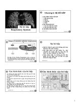 Bài giảng sinh học động vật  chương 6   nguyễn hữu trí