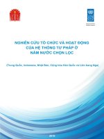 Nghiên cứu tổ chức và hoạt động của hệ thống tư pháp ở năm nước chọn lọc   trung quốc, indonesia, nhật bản, hàn quốc, li