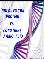 Bài giảng ứng dung của protein và công nghệ amino acid
