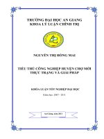 Tiểu thủ công nghiệp huyện chợ mới   thực trạng và giải pháp 