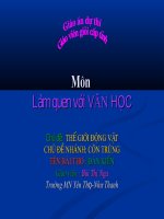 GIÁO án mầm NON THẾ GIỚI ĐỘNG vật côn TRÙNG đàn KIẾN 