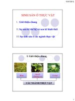 Bài giảng sinh học đại cương  chương 6   GV  nguyễn thành luân