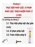 Bài giảng pháp luật đại cương   chương 3 thực hiện pháp luật, vi phạm pháp luật, trách nhiệm pháp lý