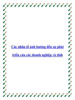 Các nhân tố ảnh hưởng đến sự phát triển của các doanh nghiệp 