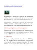 Các hình thức nuôi cấy tế bào và mô thực vật 