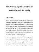 Dân chủ trong hoạt động của quốc hội và hội đồng nhân dân các cấp