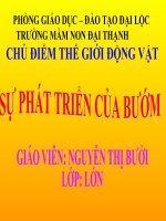 GIÁO án mầm NON CHỦ đề THẾ GIỚI ĐỘNG vật sự PHÁT TRIỂN của bướm 