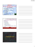 Bài giảng vi sinh vật học  chương 2   ths  nguyễn thành luân