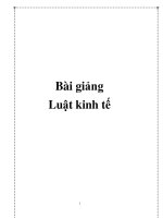 Bài giảng cơ bản về luật kinh tế