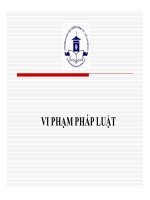 Bài giảng pháp luật đại cương   chương 6  vi phạm pháp luật