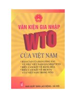 Ebook văn kiện gia nhập WTO của việt nam   NXB lao động xã hội