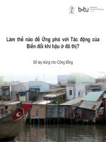 Làm thế nào để ứng phó với tác động của biến đổi khí hậu ở đô thị  phần 1   đại học công nghệ brandenburg cottbus