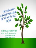 thu nhận hợp chất resveratrol từ rễ tơ cây đậu phộng