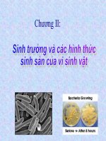 Bài giảng sinh trưởng và các hình thức sinh sản của vi sinh vật