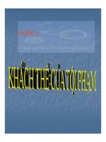 Bài giảng luật hình sự   chương 5  khách thể tội phạm