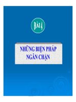 Bài giảng tố tụng hình sự   bài 4  những biện pháp ngăn chặn