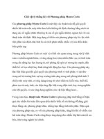 Giải vật lý thống kê với phương pháp monte carlo 