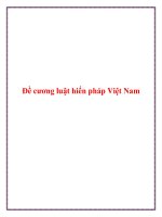 Đề cương luật hiến pháp việt nam