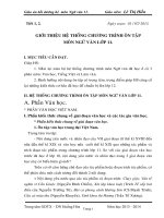 giáo án bồi dưỡng hè ngữ văn 11