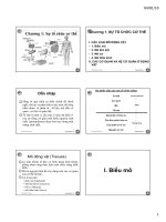 Bài giảng sinh học động vật  chương 1   nguyễn hữu trí