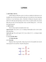 Bài giảng môn học sinh hóa đại cương  phần 2   ths  nguyễn ngọc châu