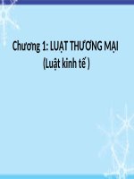 Bài giảng luật kinh tế   chương 1  luật thương mại