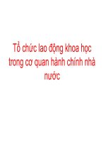 Bài giảng tổ chức lao động khoa học trong cơ quan hành chính nhà nước