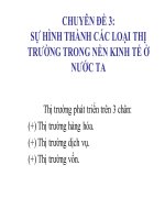 Chuyên đề 3  sự hình thành các loại thị trường trong nền kinh tế ở nước ta