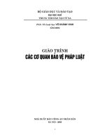 Giáo trình các cơ quan bảo vệ pháp luật  phần 1   PGS TS võ khánh vinh