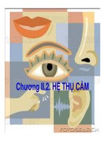 Bài giảng sinh học động vật   chương 2 2  hệ thụ cảm