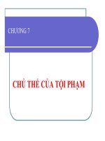 Bài giảng luật hình sự   chương 7  chủ thể của tội phạm