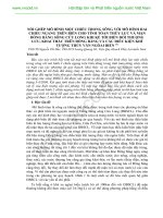 NỐI GHÉP mô HÌNH một CHIỀU TRONG SÔNG với mô HÌNH HAI CHIỀU NGANG TRÊN BIỂN CHO TÍNH TÓAN THỦY lực và mặn ĐỒNG BẰNG SÔNG cửu LONG KHI kể tới BIẾN đổi  