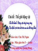 giáo án mầm non chủ đề thế giới động vật chủ đề nhánh động vật sống trong rừng 