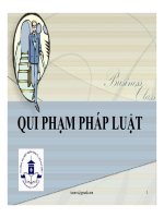 Bài giảng pháp luật đại cương   chương 4  qui phạm pháp luật