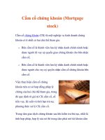 Cầm cố chứng khoán (mortgage stock) 